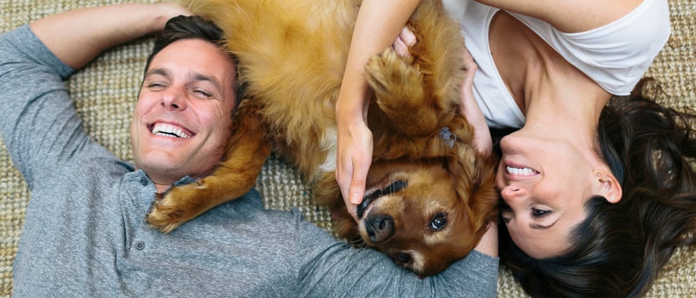 Ein fröhliches Paar liegt auf dem Teppich und kuschelt mit einem Hund, der zwischen ihnen liegt.