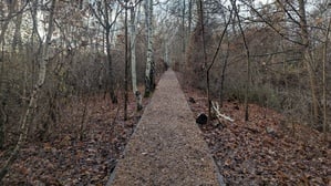 Auf diesem Weg startet die Route vom nördlichen Eingang des Südgeländes.