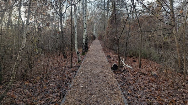 Auf diesem Weg startet die Route vom nördlichen Eingang des Südgeländes.