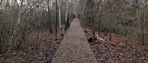 Auf diesem Weg startet die Route vom nördlichen Eingang des Südgeländes.