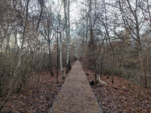 Auf diesem Weg startet die Route vom nördlichen Eingang des Südgeländes.