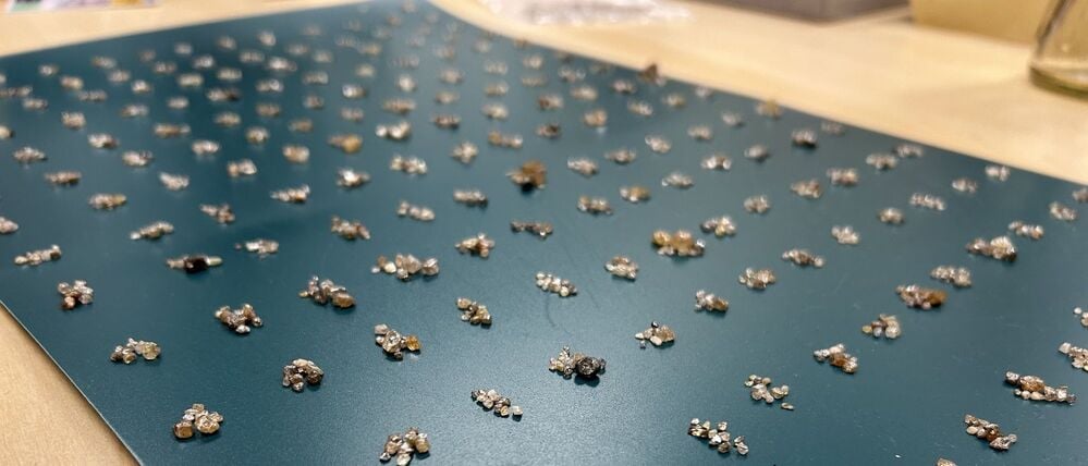 Die Rohdiamanten wurden bei der Einreise entdeckt. (Handout)