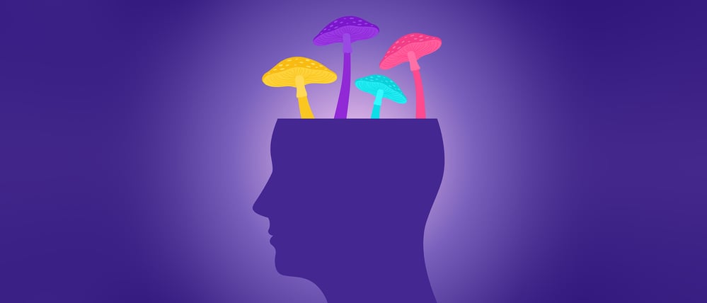 „Magic Mushrooms“ bringen nicht nur menschliche Gehirne durcheinander.