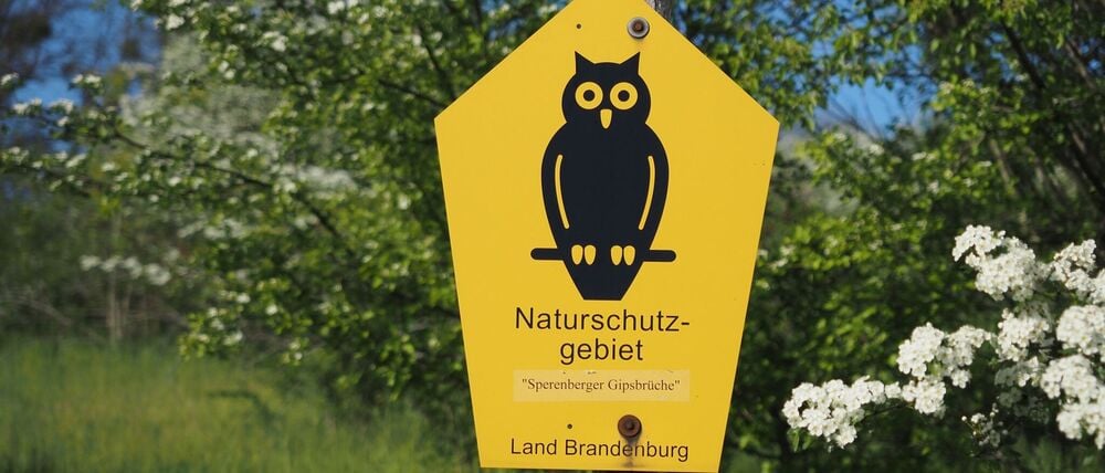 Von Naturschutzpionieren aus Bad Freienwalde entwickelt: Die bekannte Naturschutz-Eule.