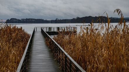 Grauer Himmel und Nebel bestimmen am Wochenende vielerorts das Wetter in Berlin und Brandenburg, bevor es in der neuen Woche freundlicher wird. (Archivbild)