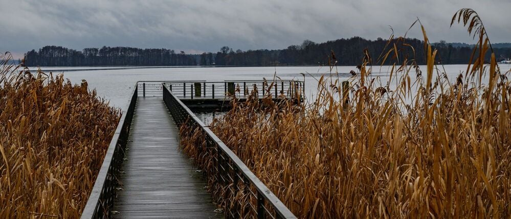 Grauer Himmel und Nebel bestimmen am Wochenende vielerorts das Wetter in Berlin und Brandenburg, bevor es in der neuen Woche freundlicher wird. (Archivbild)