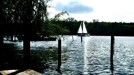 Tegeler See.