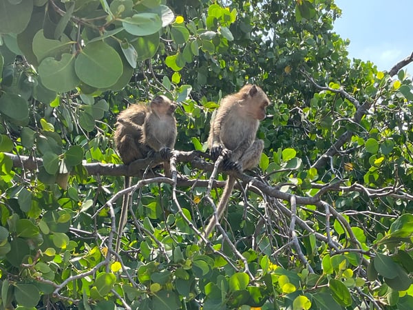 Timor Leste Reise – ET: 3.1.2026