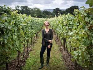 Cherie Spriggs Nyetimber Vines