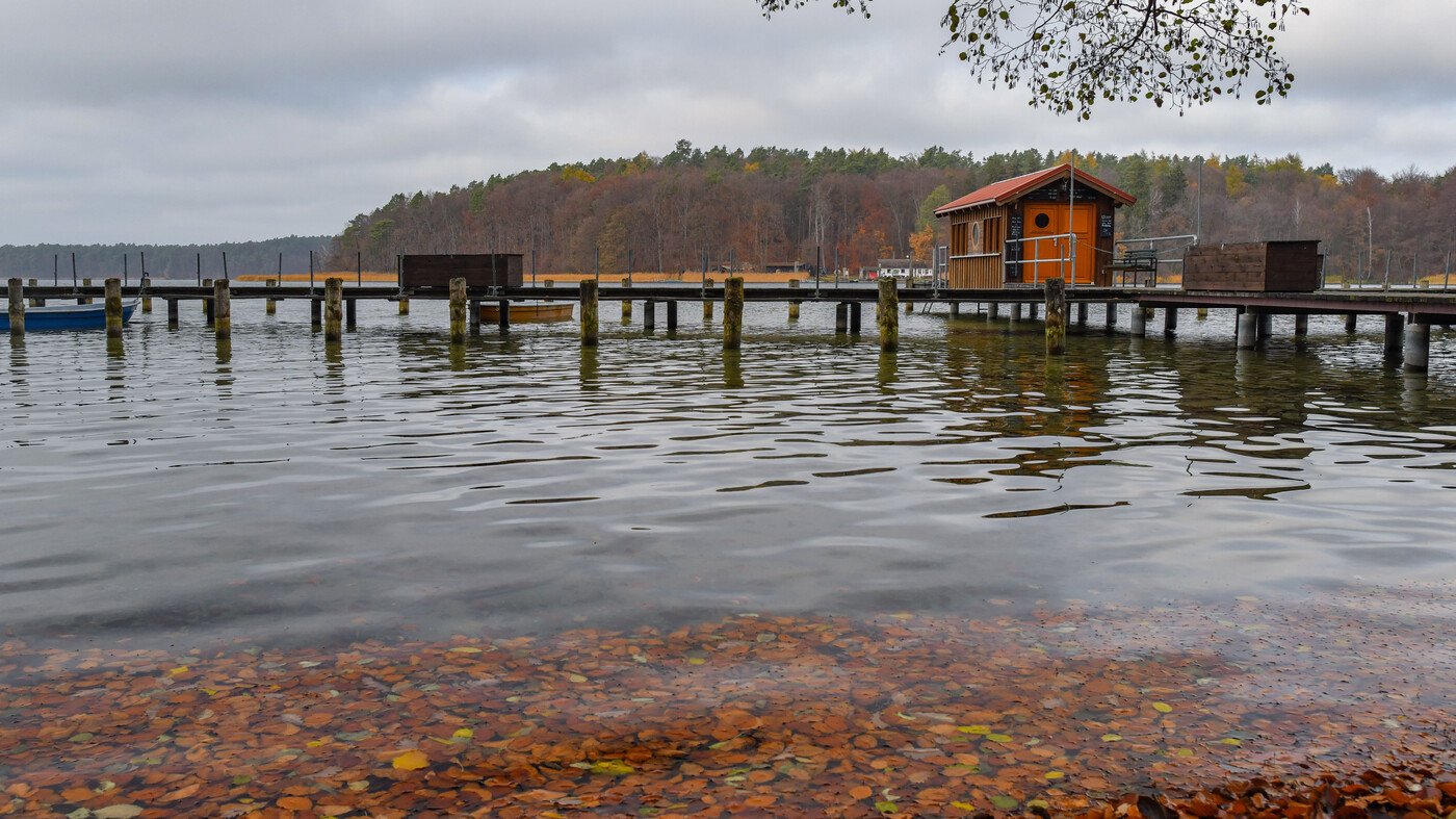 Rettung-des-Stechlinsees-Schafft-es-der-See-sich-selbst-zu-heilen-