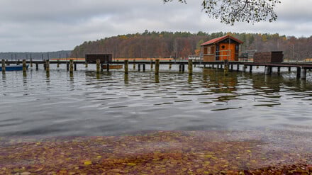 Der Stechlin gehört zu den klarsten Seen Brandenburgs – eigentlich.