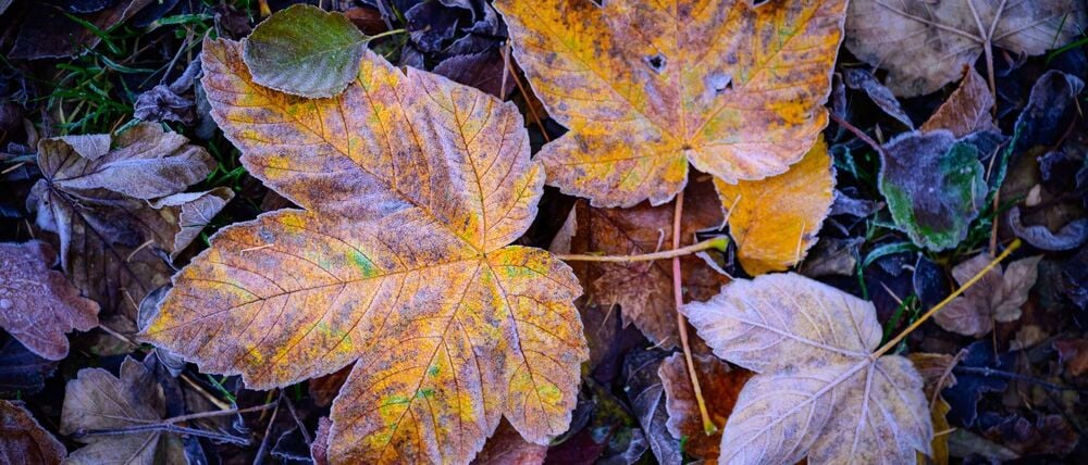 In Berlin und Brandenburg wird nachts Frost erwartet. (Symbolbild)