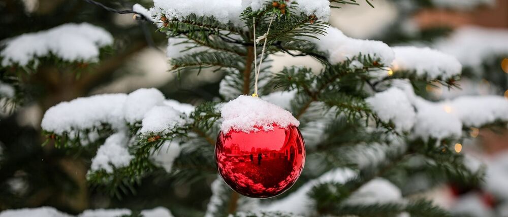 Verschneite Dächer und Bäume sind wohl auch diese Weihnachten nicht oft in Deutschland zu sehen. (Symbolbild)