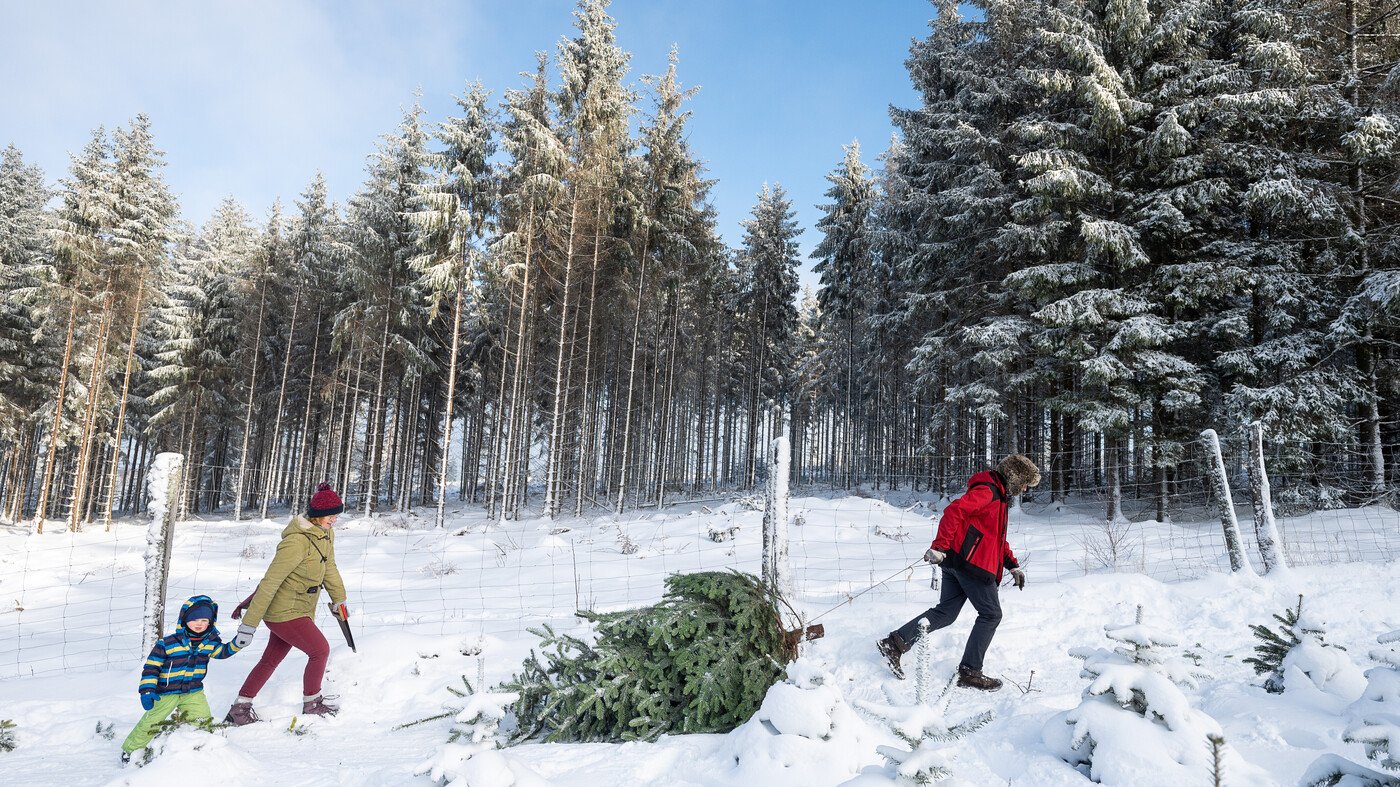 Doch-noch-Schnee-an-Weihnachten-Wettermodelle-zeigen-eine-berraschende-Entwicklung