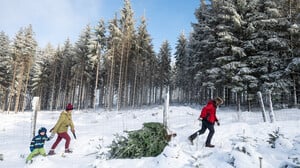 Nicht nur in den Bergen könnte es vor Weihnachten weiß werden, in einigen Regionen sogar im Tiefland.