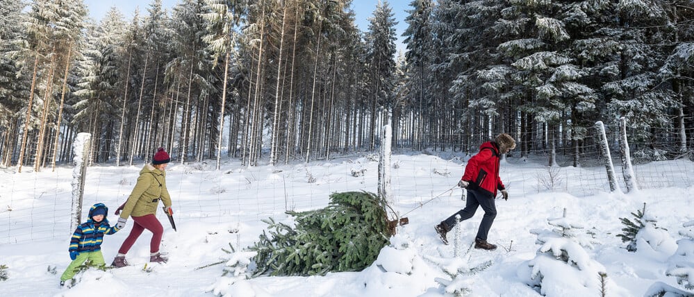 Nicht nur in den Bergen könnte es vor Weihnachten weiß werden, in einigen Regionen sogar im Tiefland.