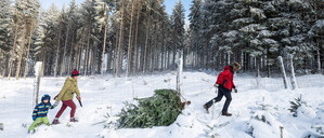 Nicht nur in den Bergen könnte es vor Weihnachten weiß werden, in einigen Regionen sogar im Tiefland.