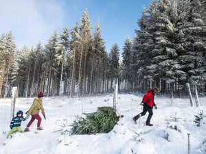 Nicht nur in den Bergen könnte es vor Weihnachten weiß werden, in einigen Regionen sogar im Tiefland.