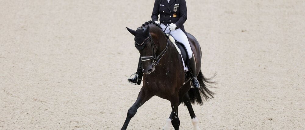 Dressur-Star Werth beendet die Trauerpause nach dem Tod ihres Partners. (Archivbild)