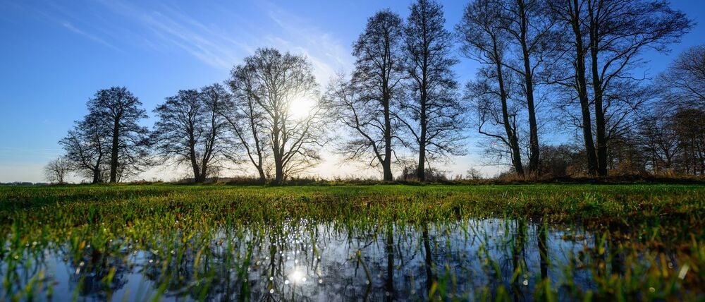 In Brandenburg und Berlin zeigt sich heute und morgen die Sonne. (Archivbild)