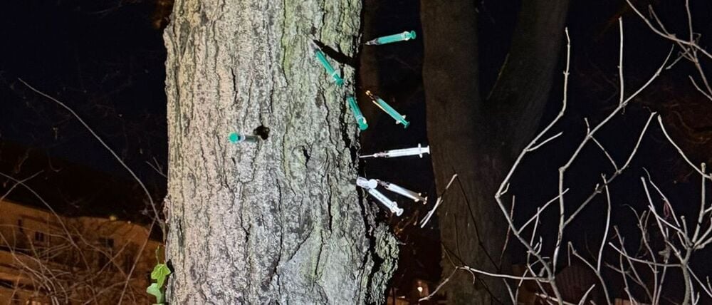 Am 16. Dezember wurde das Bezirksamt durch eine Presseanfrage auf den Spritzen-Baum in der Hasenheide aufmerksam.