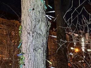 Am 16. Dezember wurde das Bezirksamt durch eine Presseanfrage auf den Spritzen-Baum in der Hasenheide aufmerksam.