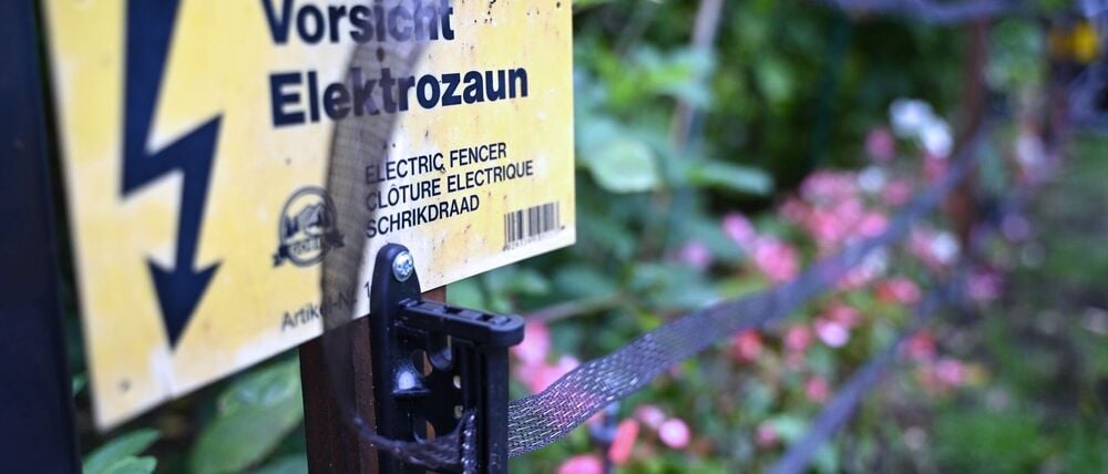 Wildschweine durchwühlen in Kleinmachnow Vorgärten und hinterlassen Schäden. Zum Schutz haben Anwohner Zäune aufgebaut. (Archivbild)