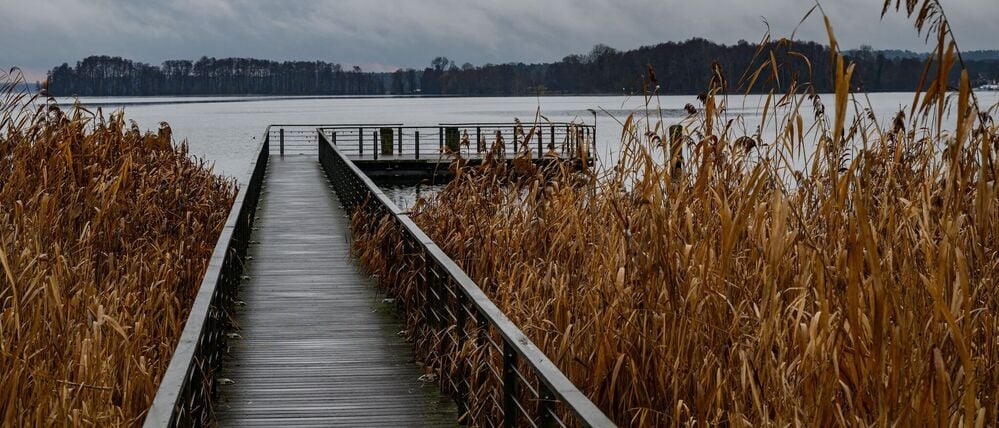 Die Temperaturen bleiben in der Region über dem Gefrierpunkt. (Archivbild)