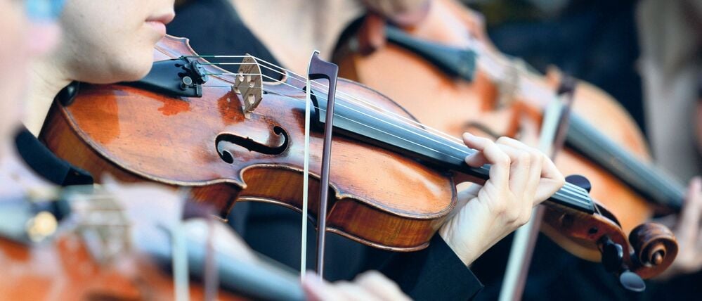 Musiker der Brandenburger Symphoniker spielen am 30.07.2013 in Rheinsberg (Brandenburg) im Heckentheater des Schlossparks bei der Aufführung der Phantastischen Oper "Hoffmanns Erzählungen" von Jacques Offenbach. Das Stück wird im Rahmen des internationalen Open-Air-Festivals der Kammeroper Schloss Rheinsberg zur Förderung junger Sänger aufgeführt. Foto: Jens Kalaene/dpa