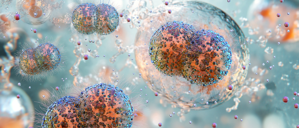 Der der Tripper-Erreger Neisseria gonorrhoeae ist ein Paradebeispiel für ein Bakterium, das schnell Resistenzen entwickeln kann, so das Robert Koch-Institut (RKI).