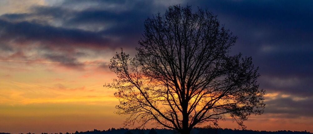 Die Temperaturen erreichen den Tag über laut DWD bis zu elf Grad. (Symbolbild)