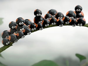 Zwei Dutzend Marienkäfer drängen sich auf einem Zweig: In der französischen Serie „Die Winzlinge“ erleben 3D-animierte Insekten vor dem Hintergrund echter Naturaufnahmen lustige Abenteuer.
