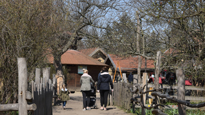Der Kinderbauernhof Pinke-Panke Am Bürgerpark 15-18 in Berlin-Pankow besitzt Enten, Hühner,  Schafe, zwei Esel und Wollschweine, aufgenommen am 2. April 2019.

Foto: Kitty Kleist-Heinrich