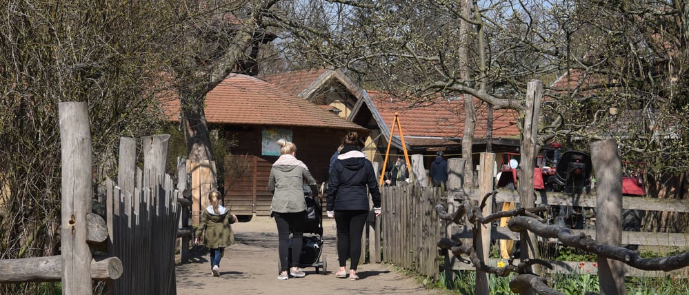 Der Kinderbauernhof Pinke-Panke Am Bürgerpark 15-18 in Berlin-Pankow besitzt Enten, Hühner, Schafe, zwei Esel und Wollschweine, aufgenommen am 2. April 2019.
Foto: Kitty Kleist-Heinrich