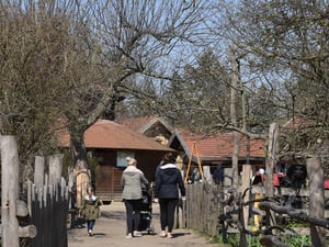 Der Kinderbauernhof Pinke-Panke Am Bürgerpark 15-18 in Berlin-Pankow besitzt Enten, Hühner,  Schafe, zwei Esel und Wollschweine, aufgenommen am 2. April 2019.

Foto: Kitty Kleist-Heinrich