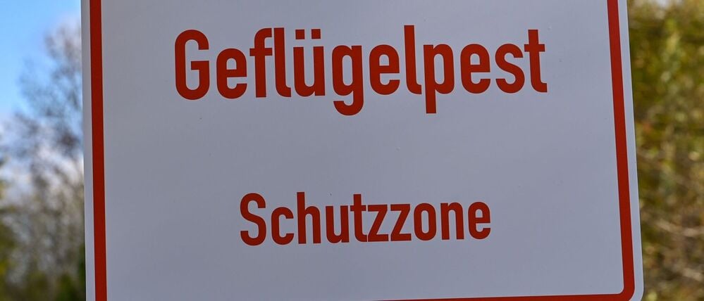 Wieder müssen tausende Tiere wegen eines Geflügelpest-Ausbruchs getötet werden. Der Landkreis Havelland hat Schutzvorkehrungen erhöht.  (Archivbild)