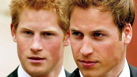 070614harry_william