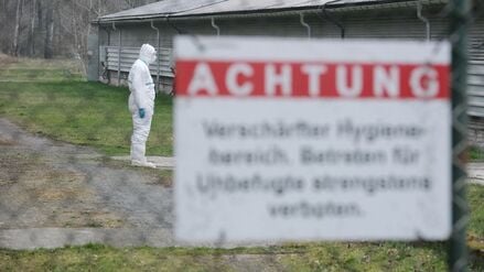 Ausbruch der Vogelgrippe