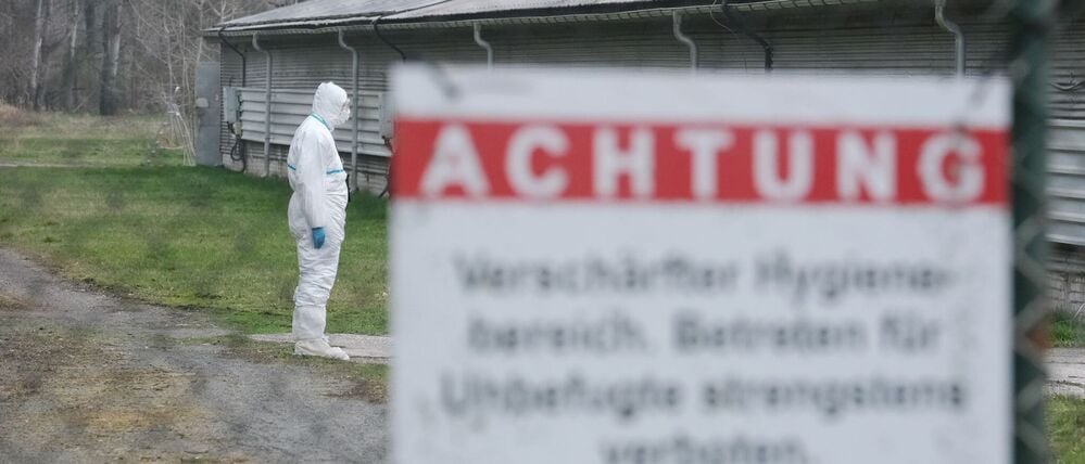 Ausbruch der Vogelgrippe