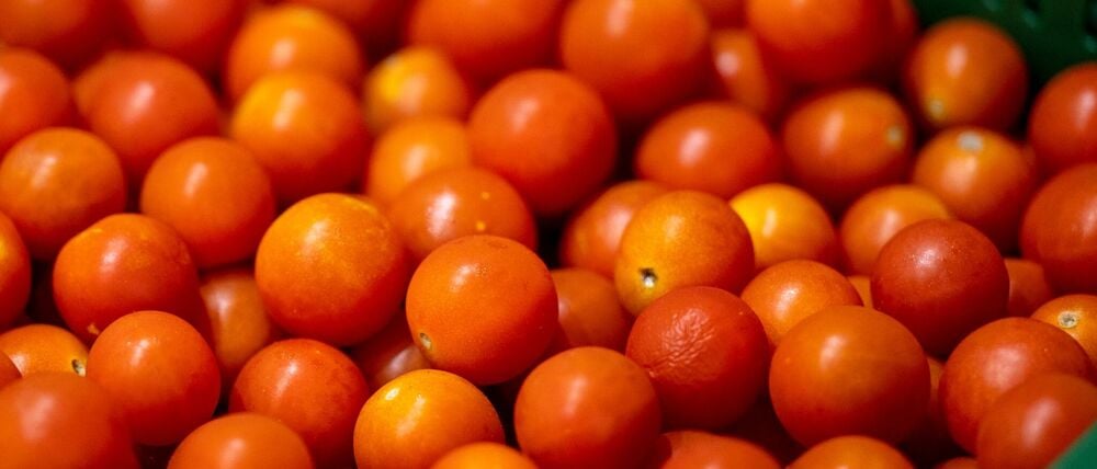 Tomaten aus Brandenburg statt aus dem Ausland? Brandenburgs Agrarministerin wirbt für ein Umdenken im Lebensmitteleinzelhandel.