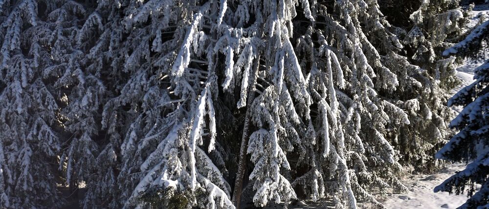 Verglichen mit früheren Jahren fällt nicht nur weniger Schnee, er schmilzt auch schneller dahin. (Archivbild)