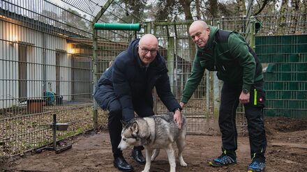 Brandenburgs Ministerpräsident Dietmar Woidke (l) besucht vor dem Weihnachtsfest das Tierheim Potsdam. 