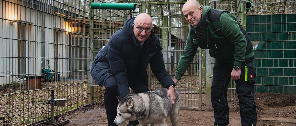 Brandenburgs Ministerpräsident Dietmar Woidke (l) besucht vor dem Weihnachtsfest das Tierheim Potsdam.