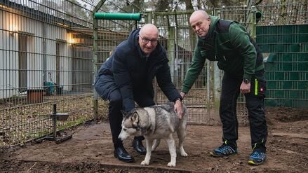 Dietmar Woidke (links) übergab eine Spende von 1000 Euro an das Tierheim, wo Tiere wie die Husky-Hündin Sura auf ein neues Zuhause warten.