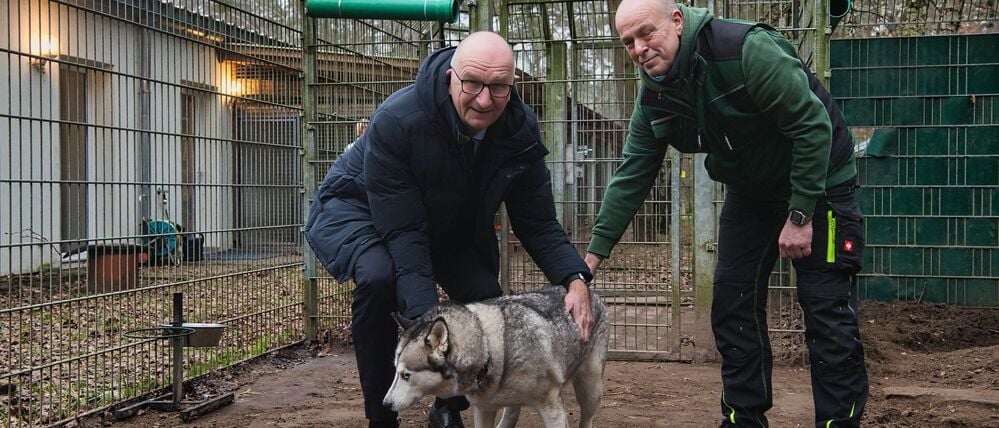 Dietmar Woidke (links) übergab eine Spende von 1000 Euro an das Tierheim, wo Tiere wie die Husky-Hündin Sura auf ein neues Zuhause warten.