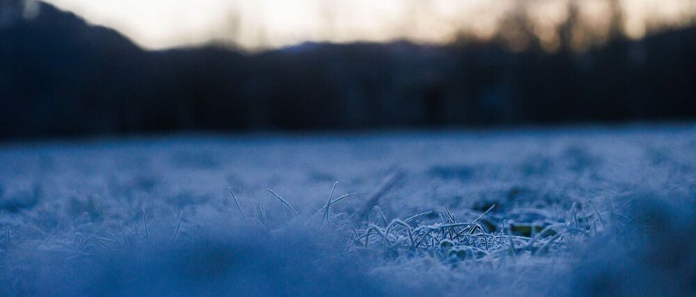 Der historische Krimi spielt in Freiburg. (Archivbild)