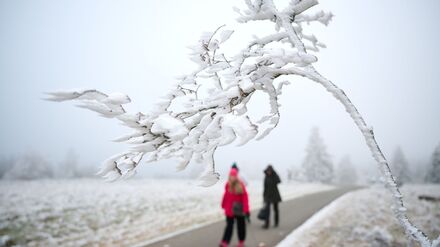 Schnee zu Weihnachten wird es nur vereinzelt geben.