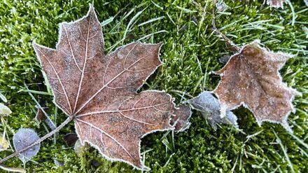 An den Weihnachtstagen sinkt die Temperatur nach DWD-Angaben auf bis zu minus drei Grad, in der Nacht sogar auf bis zu minus zehn Grad. (Archivbild)