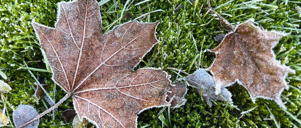 An den Weihnachtstagen sinkt die Temperatur nach DWD-Angaben auf bis zu minus drei Grad, in der Nacht sogar auf bis zu minus zehn Grad. (Archivbild)