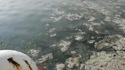 Ostsee-Abwasser